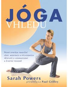 Jóga vhledu - Nová syntéza tradiční jógy, meditace a východních přístupů k uzdravování